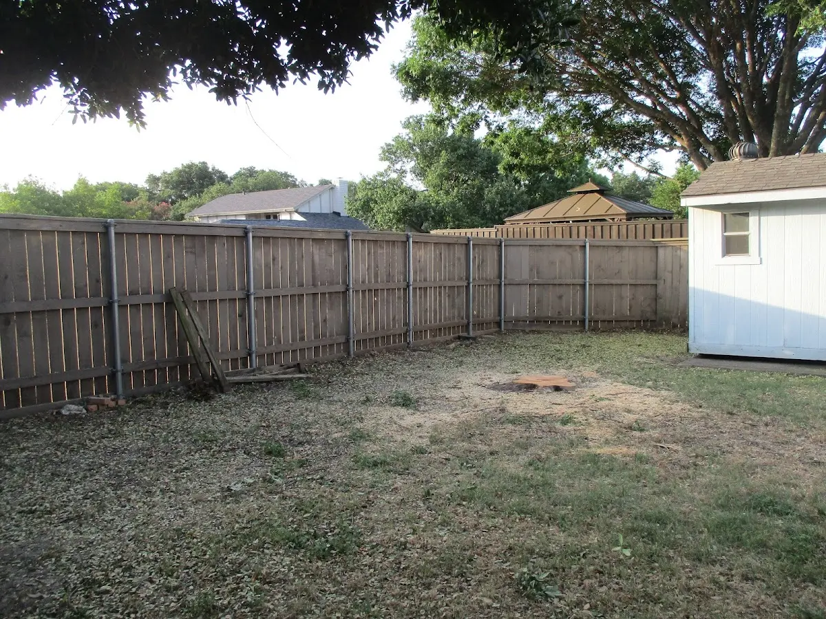 Cleared yard after professional tree removal in New Harbor